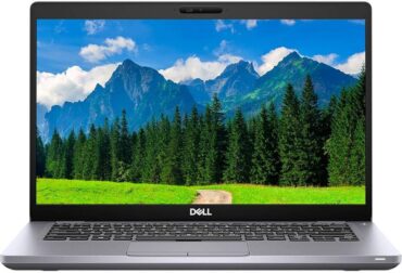 Dell Latitude 5410 Laptop Intel Core i5-10th Gen 16GB Memory 256GB SSD